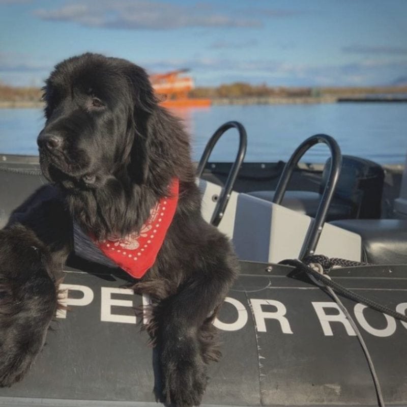 thunder on the rocket