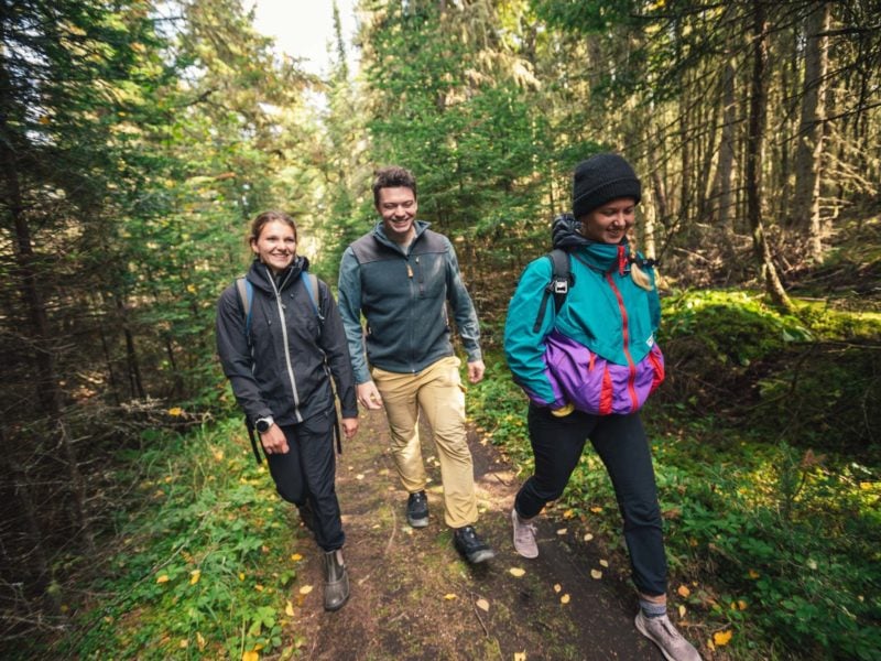 Students walking in forest