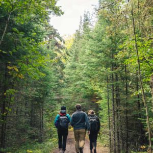 3 people walking on forested path