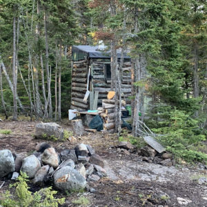 Spain Island sauna tucked away amongst the trees