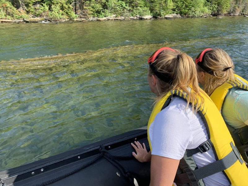Zodiac passengers discover the sunken Robert L. Freyer at the Welcome Islands